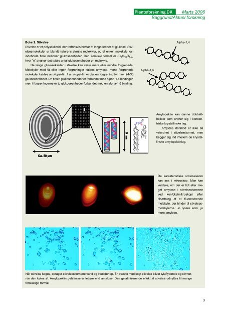 Download PDF - Planteforskning