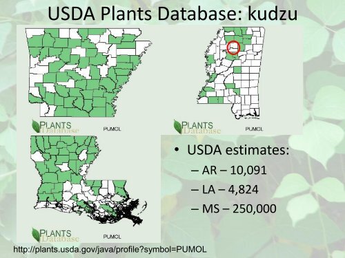 Status of Soybean Rust in the Midsouthern United States - Plant ...