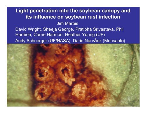 Light penetration into the soybean canopy and its influence - Plant ...