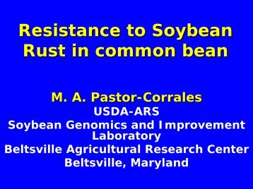 Resistance to Soybean Rust in Dry Beans. - Plant Management ...