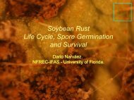 Soybean Rust Life Cycle, Spore Germination and Survival - Plant ...