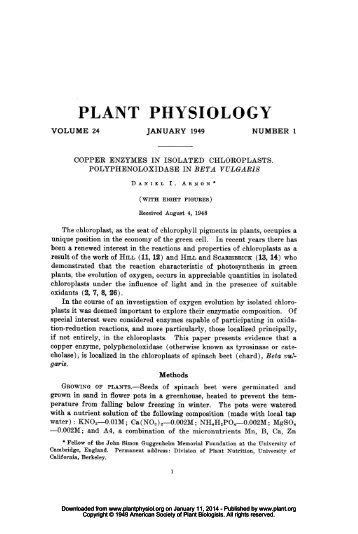 COPPER ENZYMES IN ISOLATED CHLOROPLASTS ...