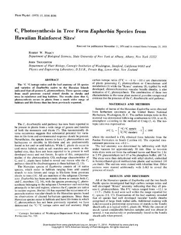 photosynthesis in tree form euphorbia species... - Plant Physiology