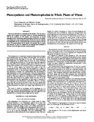 Photosynthesis and Photorespiration in Whole ... - Plant Physiology