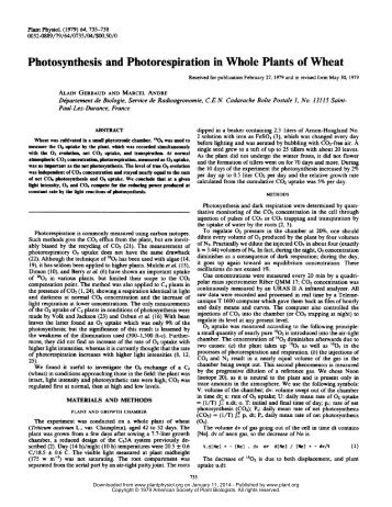 Photosynthesis and Photorespiration in Whole ... - Plant Physiology