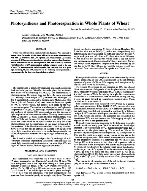 Photosynthesis and Photorespiration in Whole ... - Plant Physiology