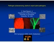 Pathogen phytosensing: plants to report plant pathogens