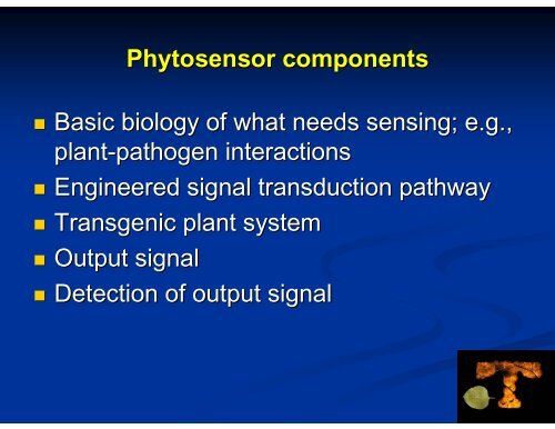 Pathogen phytosensing: plants to report plant pathogens