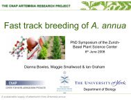 Fast track breeding of A. annua - Zurich-Basel Plant Science Center