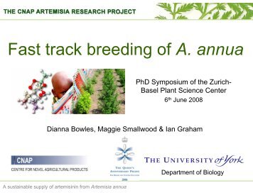 Fast track breeding of A. annua - Zurich-Basel Plant Science Center