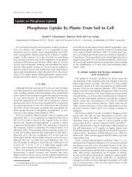 Phosphorus Uptake by Plants: From Soil to Cell - Plantstress.com