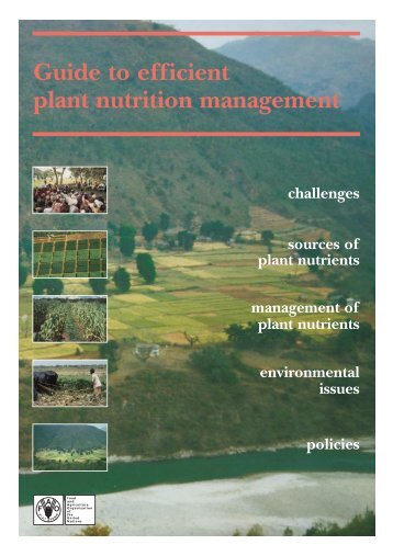 Guide to efficient plant nutrition management - FAO.org