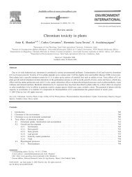 Chromium toxicity in plants - plantstres - Plantstress.com
