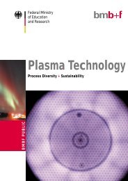 Plasma technology: innovations for the future - diener electronic ...