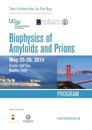 2 University by the Bays 2014: Biophysics of Amyloids and Prions