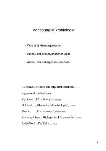 Zellen der Prokaryoten und Eukaryoten