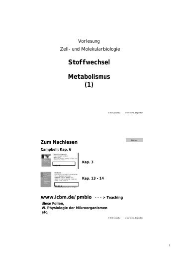 Stoffwechsel Metabolismus (1) - ICBM