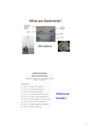 What are Sediments? - ICBM