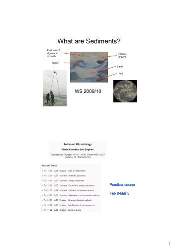 What are Sediments? - ICBM