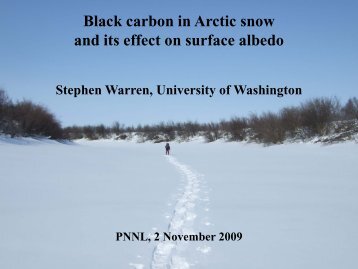 Black carbon in Arctic snow and its effect on surface albedo