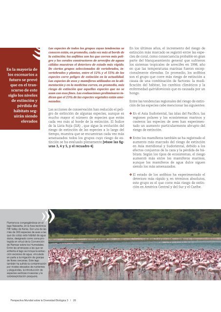 Perspectiva Mundial sobre la Biodiversidad 3 - Convention on ...