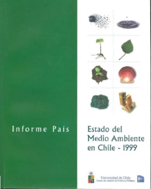 GEO Chile 1999.pdf - Programa de Naciones Unidas para el Medio ...