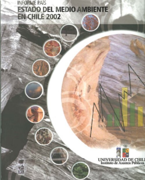 GEO Chile 2002.pdf - Programa de Naciones Unidas para el Medio ...