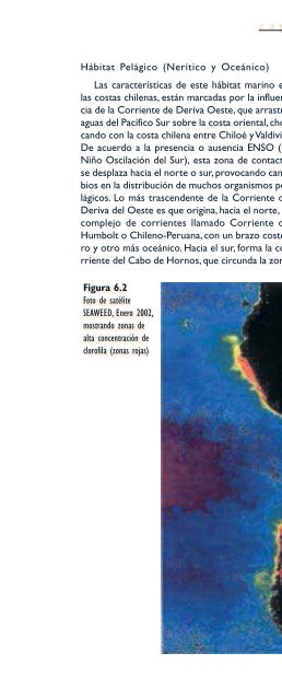 GEO Chile 2002.pdf - Programa de Naciones Unidas para el Medio ...