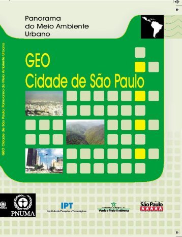 GEO Cidade de SÃ£o Paulo - Programa de Naciones Unidas para el ...