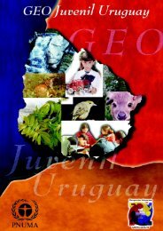 GEO Juvenil Uruguay - Programa de Naciones Unidas para el ...