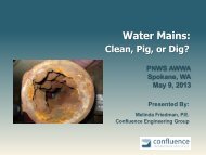 Water Mains: Clean, Pig or Dig? - PNWS-AWWA