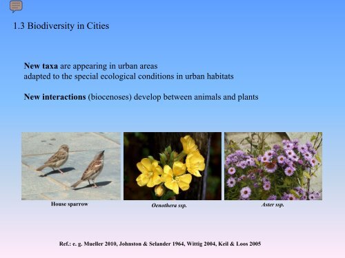 Zheng-hong Kong (China) – Urban Biodiversity Research and