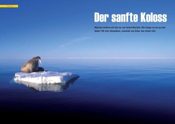 Der sanfte Koloss - Polar-Reisen.ch