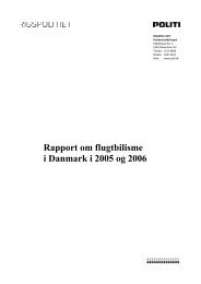 Rapport om flugtbilisme i Danmark i 2005 og 2006 (441K) - Politiets