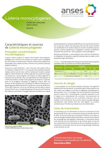 Fiche Listeria monocytogenes (juin 2006) - Anses