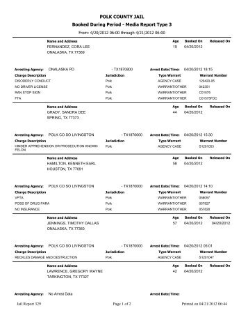 POLK COUNTY JAIL Booked During Period - Media Report Type 3