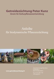 Anleihe - Getreidezüchtung Peter Kunz