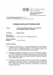 Aufgabenstellung fÃ¼r Studienarbeit - Polymer Service GmbH ...