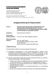 Aufgabenstellung fÃ¼r Diplomarbeit - Polymer Service GmbH ...