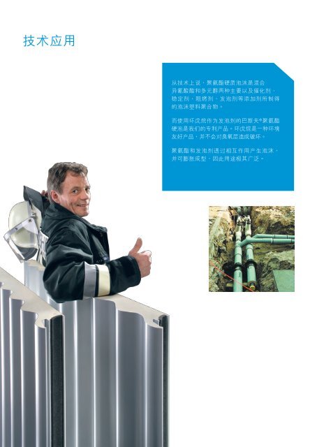 å·´æ¯å¤«èåµé æ´ç¶  - BASF Polyurethanes Asia Pacific