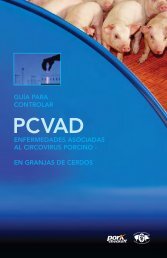 ENfErmEdAdES ASociAdAS Al circoViruS PorciNo - National Pork ...