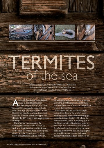 termites - Poseidon Ocean Sciences Inc