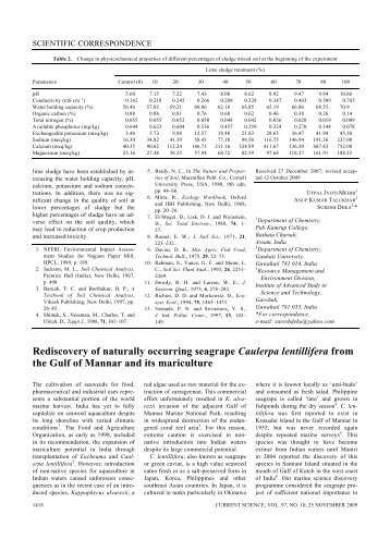 Rediscovery of naturally occurring seagrape Caulerpa lentillifera ...