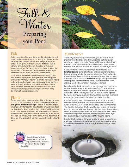 Laguna - 2013 Guide to Water Gardening - Lagunaponds.com