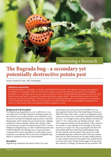 The Bagrada bug - Potatoes South Africa