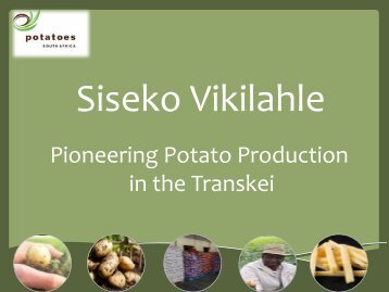 Pioneering Potato Production in the Transkei - Potatoes South Africa