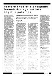 Performance of a phosphite formulation against late blight in potatoes