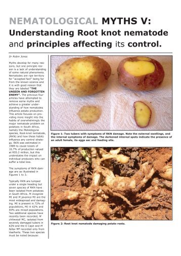 ASA WEB Jul/Aug 06 - Potatoes South Africa