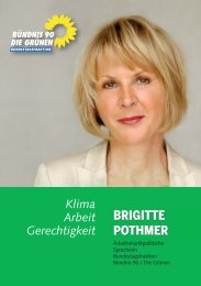 Der neue Info-Flyer von Brigitte Pothmer zum Download