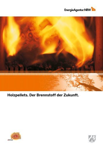 Holzpellets. Der Brennstoff der Zukunft. - Nordrhein-Westfalen direkt